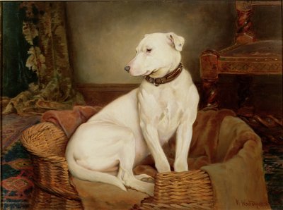 In Disgrace by William Woodhouse